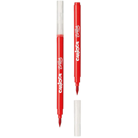 Set De 10 Feutres Super Brush - Carioca