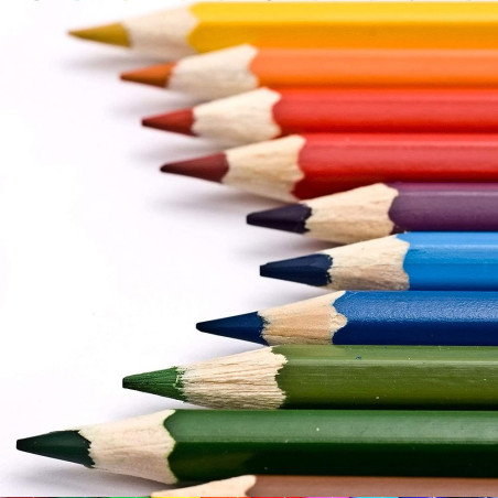 Set de 24 Crayons de Couleur - Doms