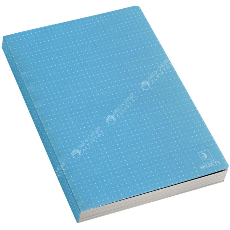 Cahier Brochure Seyes Polypro A4, 300 Pages - Selecta