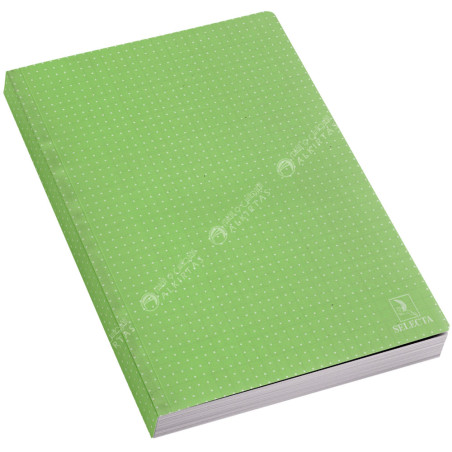 Cahier Brochure Seyes Polypro A4, 300 Pages - Selecta