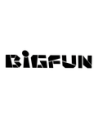BIG FUN